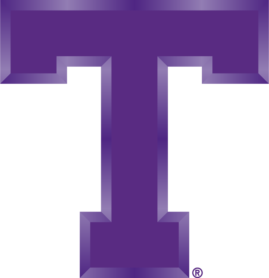 Tarleton Texans 2005-2018 Primary Logo DIY iron on transfer (heat transfer)